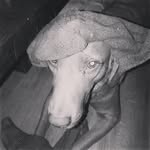 @mattharker - Instagram