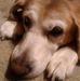 Matt Harter - Facebook