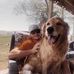 Matt Harter - Facebook
