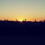 Matthew Evan Harwell - @24harwellme - Instagram