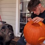 Matthew Harwell - @matthew_harwell24 - Instagram