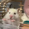 Matt - @matth_ash - TikTok