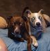 Matt Haug - Facebook