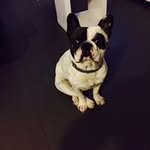 Matth Aug - @matth_aug - Instagram