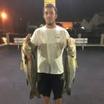 Matt Haughey - @matthaughey_ - Instagram