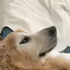 Matthew Haugh - @matthew.haugh - TikTok