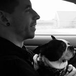 Matt Heald - @matt.heald - Instagram