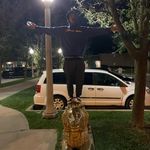 matt heald - @_mattheald - Instagram
