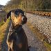 Matt Heather - Facebook