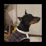 Matt Annette Helmuth - Facebook