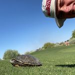 Matt Herberger - @matt_herberger - Instagram