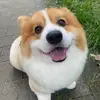Matthew Herzog - @matthew.herzog5 - TikTok