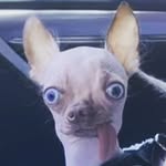 Matt_Hiatt - @put_something_original - Instagram