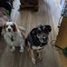 Matthew Hickson - Facebook