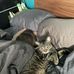 Matt Hiebert - Facebook