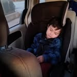 Matthew James Higbee - @the_barefoot_forest_hermit - Instagram