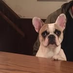 Matt Roger Hixon - @matt_hixon82 - Instagram