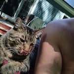 Matt Hoekstra - @matt.hoekstra - Instagram