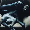 Matt_Hoesly_39 - @matt_hoesly_39 - TikTok