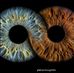 Matt Hofer - Facebook