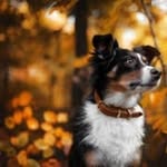 Matt Hofer - @matthew_sunny_site - Instagram