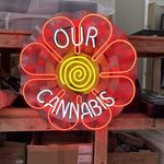 Matt Hoffmann - @hand_grown - Instagram