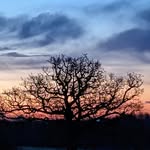 Matt Holman - @mattholman76 - Instagram