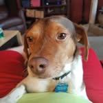 Matt Holtz - @matt.holtz - Instagram