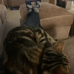 Matt Hopper - @matthopper1980 - Instagram