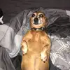 Matt Hopper - @matthopper1313 - TikTok