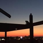 Matt Houle - @matt.houle - Instagram