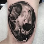 Matt • HOUSE OF WOLVES - @mattbrundelltattoo - Instagram