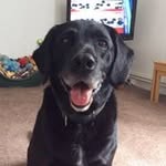 Matt Humphries - @humphries6000 - Instagram