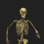 Matt Hussey - @heisenbones1984 - Instagram