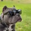Matt Hussey - @matt.hussey3 - TikTok