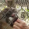 Matthew Ingraham - @matthew.ingraham7 - TikTok