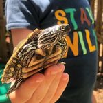 Matt Ivey - @househerping - Instagram
