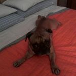 mattia zattoni - @matti_zatto06 - Instagram