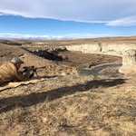 Matt Jager - @jagerwildlifesolutions - Instagram