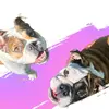 Jasper & Matteo - @jasper.matteo - TikTok
