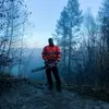 Matt Jasper - @treeguyjasper - TikTok