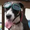 Matt Jasper - @repsajm - TikTok