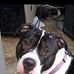 Matt Jeffers - Facebook