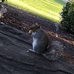 M Jeffrey - @matt__jeffrey - Instagram
