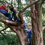 Matt Jeffrey - @matt.jeffrey.3726 - Instagram