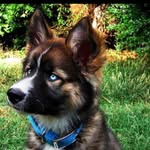 Matt Juarez - @mattjuarez4619 - Instagram