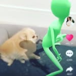 matt junior haynes - @mattjuniorhaynes - Instagram