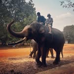 Matt Kangas - @mattkangas24 - Instagram