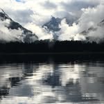 Matt Kappler - @mattywoodbake - Instagram