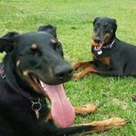 Matt Kasper - @matt.kasper - Instagram